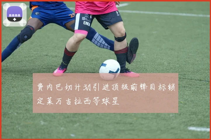 费内巴切计划引进顶级前锋目标锁定莱万吉拉西等球星